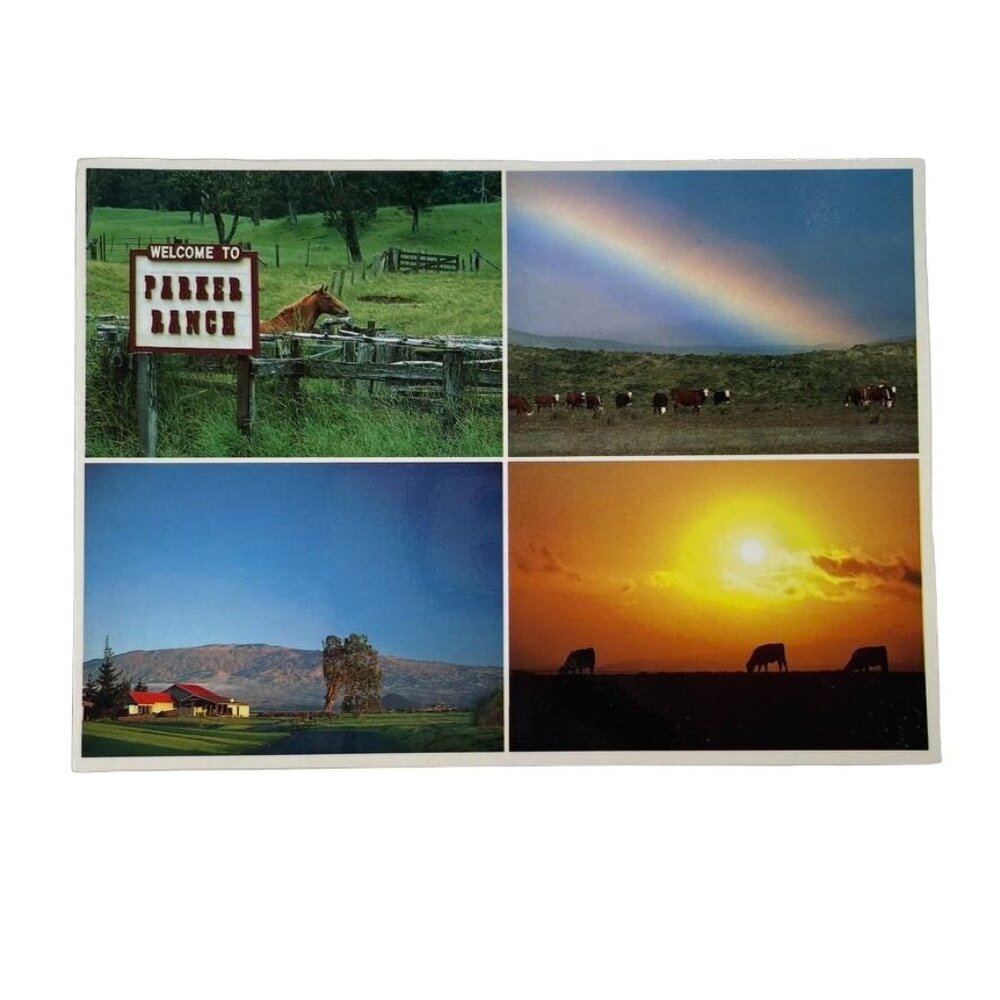 Parker Ranch Hawaii Postcard With Scenic Views Original